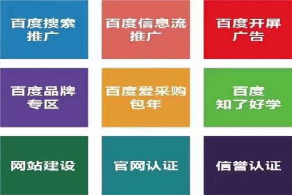 SEM推广优化策略：成功案例解析